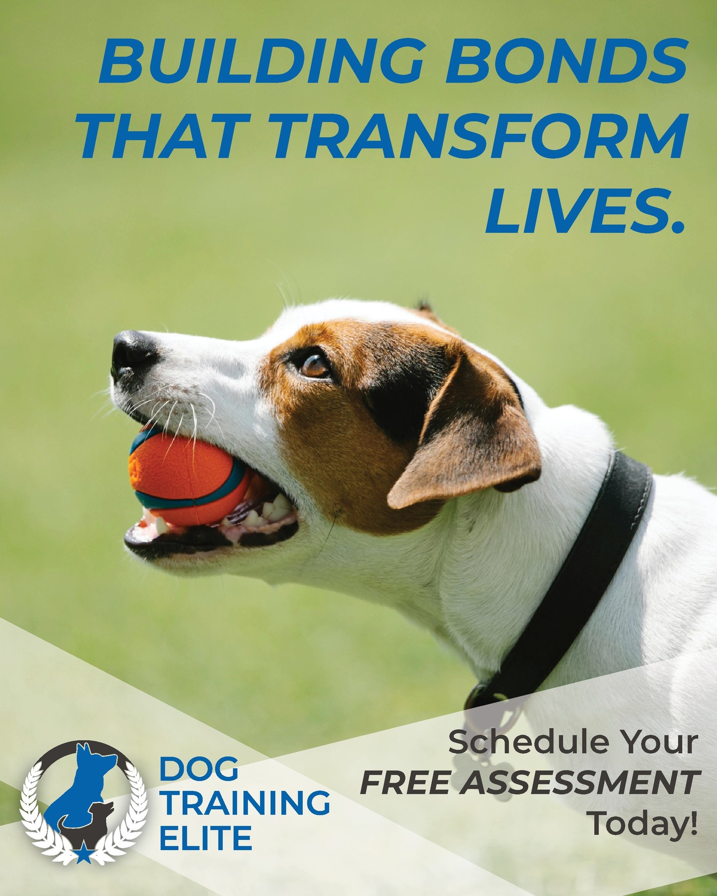 Proper training does more than teach commands &mdash; it creates a foundation of trust, communication, and mutual understanding between you and your dog. Through consistent guidance, clear expectations, and positive experiences, dogs learn to look to their handlers for confidence and direction, strengthening the relationship every step of the way. The result is more than good behavior; it&rsquo;s a life-changing bond built on teamwork, reliability, and connection that carries into every part of daily life. Call us today!

816-308-6985
https://dogtrainingelite.com/kansas-city