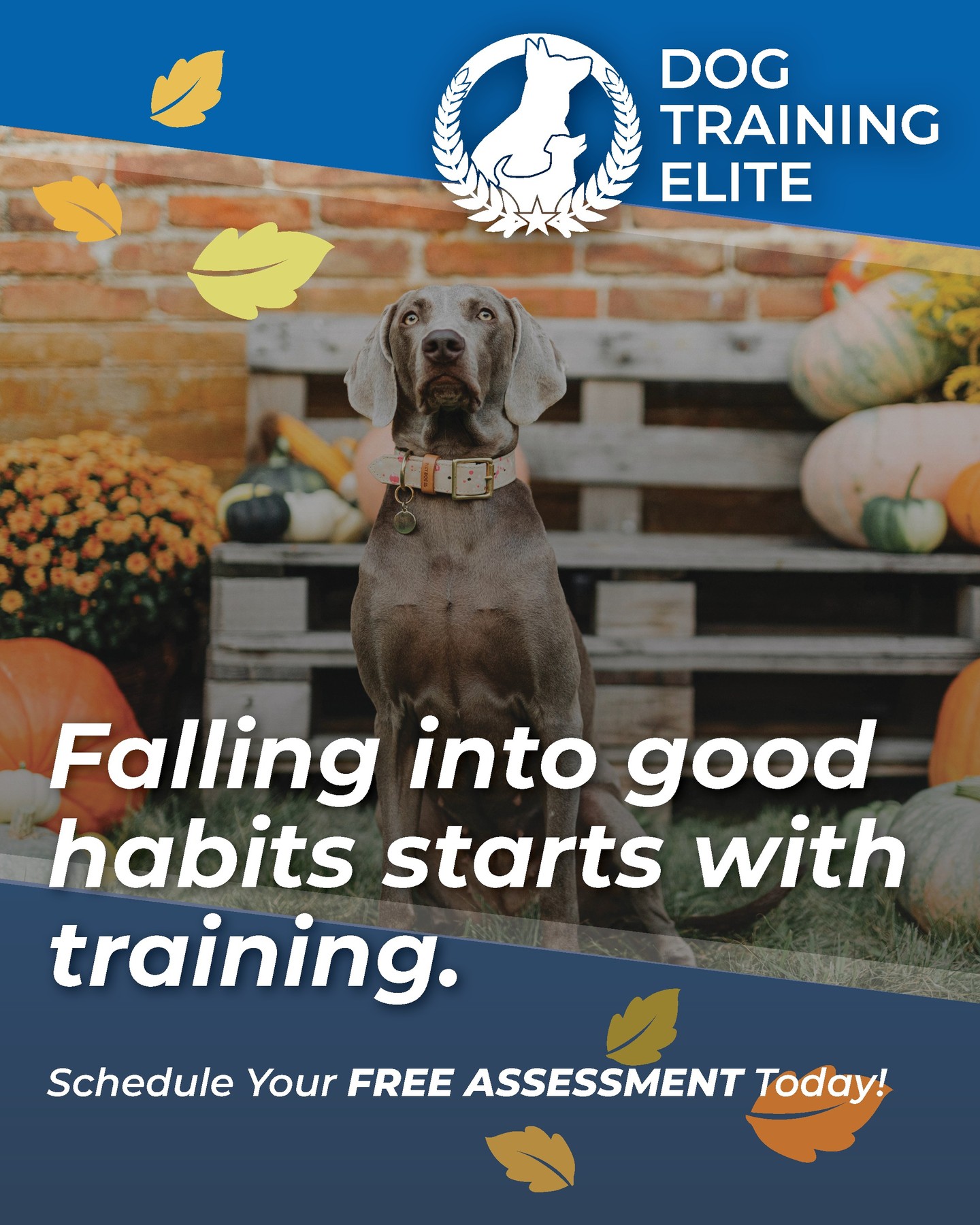 🐾 Consistency is key to a well-behaved pup! At Dog Training Elite KC, we know that building good habits takes patience, practice, and a whole lot of love. Stick with it, and you’ll see your furry friend thrive! 💪🐶

Ready to see real results? Start your dog’s training journey with us today! 