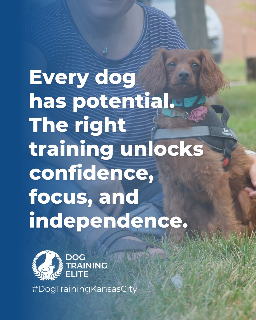 At Dog Training Elite Kansas City, we believe every dog can thrive with guidance tailored to their personality, temperament, and needs. 

Our expert trainers use balanced methods to help dogs reach their full potential—whether that’s mastering obedience, building confidence, or learning specialized service tasks.

🎯 Book your free evaluation today and unlock your dog’s potential!
📲Spread the word! Families in Country Club Plaza and Oak Park deserve training that really works. Share this post and help a neighbor unlock their pup’s potential with Dog Training Elite. 🐾✨
📍https://maps.app.goo.gl/gRdBPWCrfbzeXenu9


