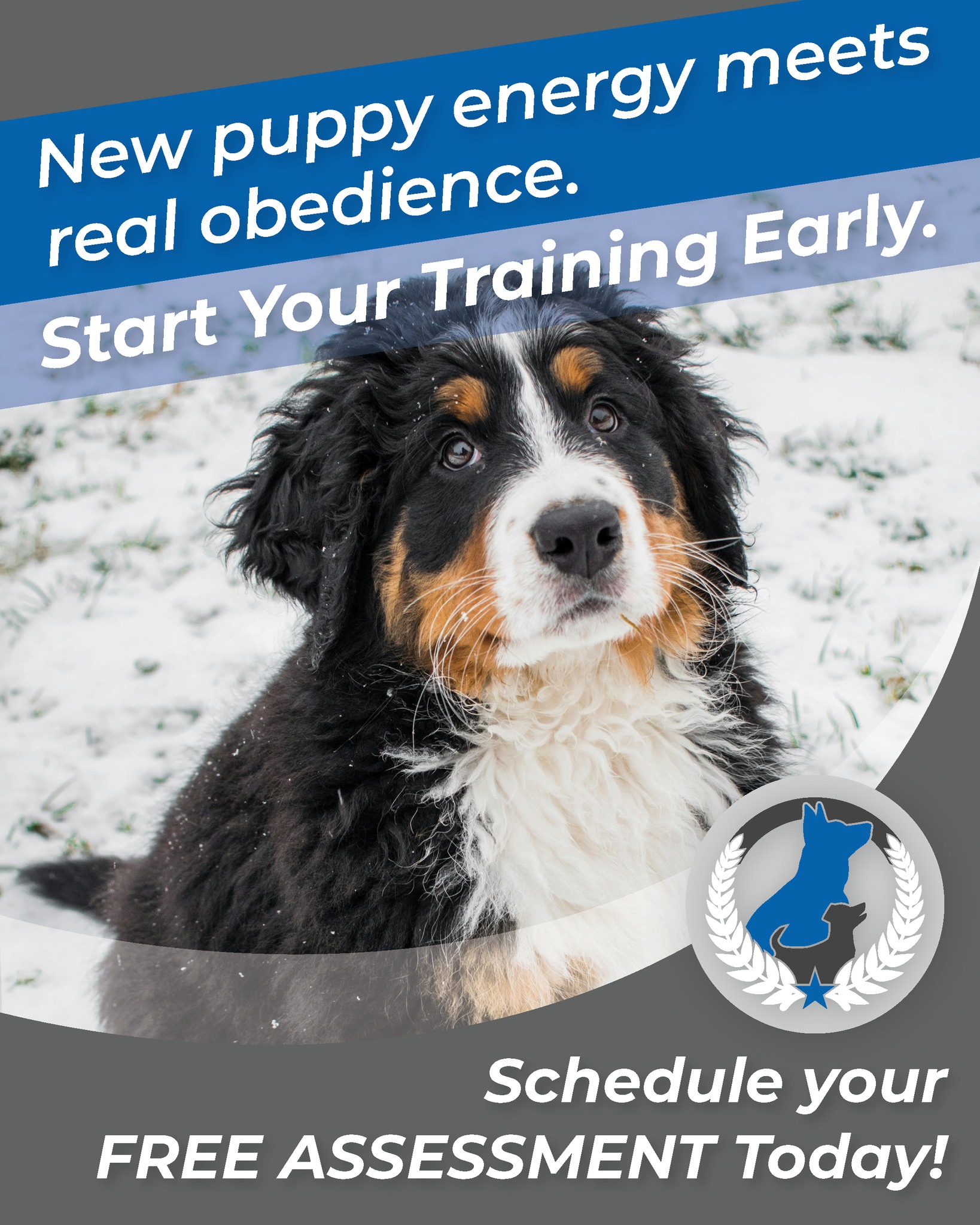 Turning training challenges into proud pet-parent moments. 🐶💛
📞 Call 262-515-9383 or visit dogtrainingelite.com/kenosha for your FREE evaluation.