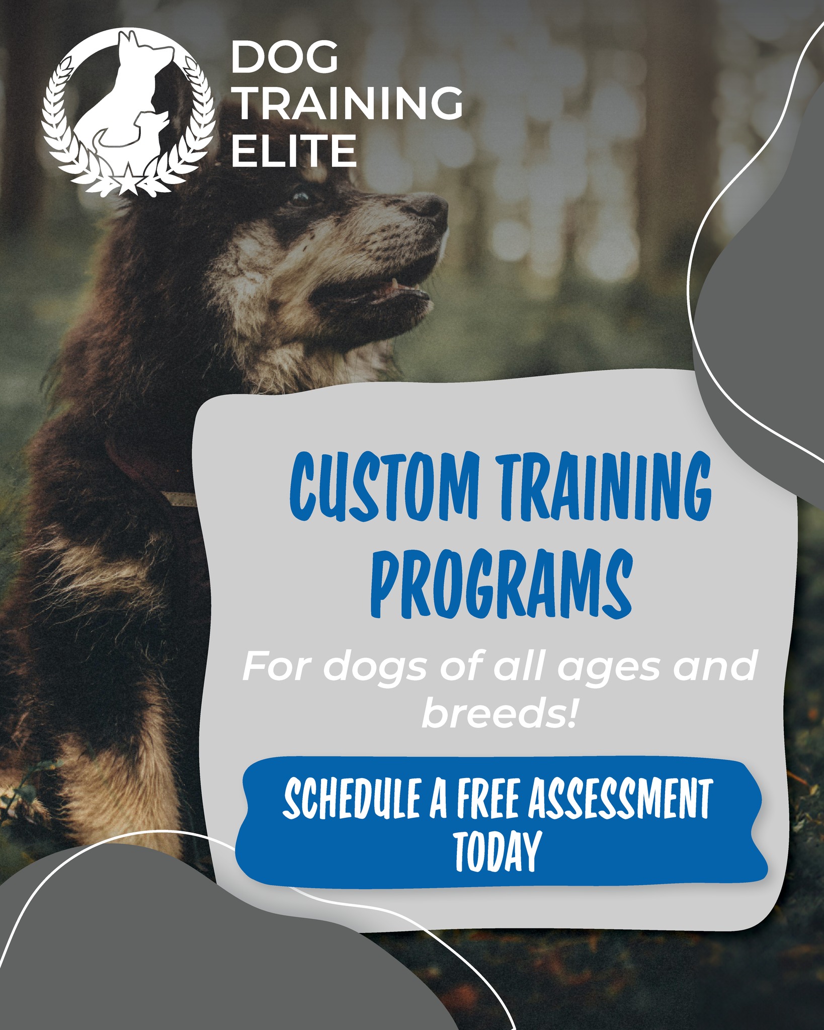 From leash pulling to potty training — we’ve got your tail covered! 🦴
📞 Call 262-515-9383 or visit dogtrainingelite.com/kenosha to fetch your FREE evaluation today!