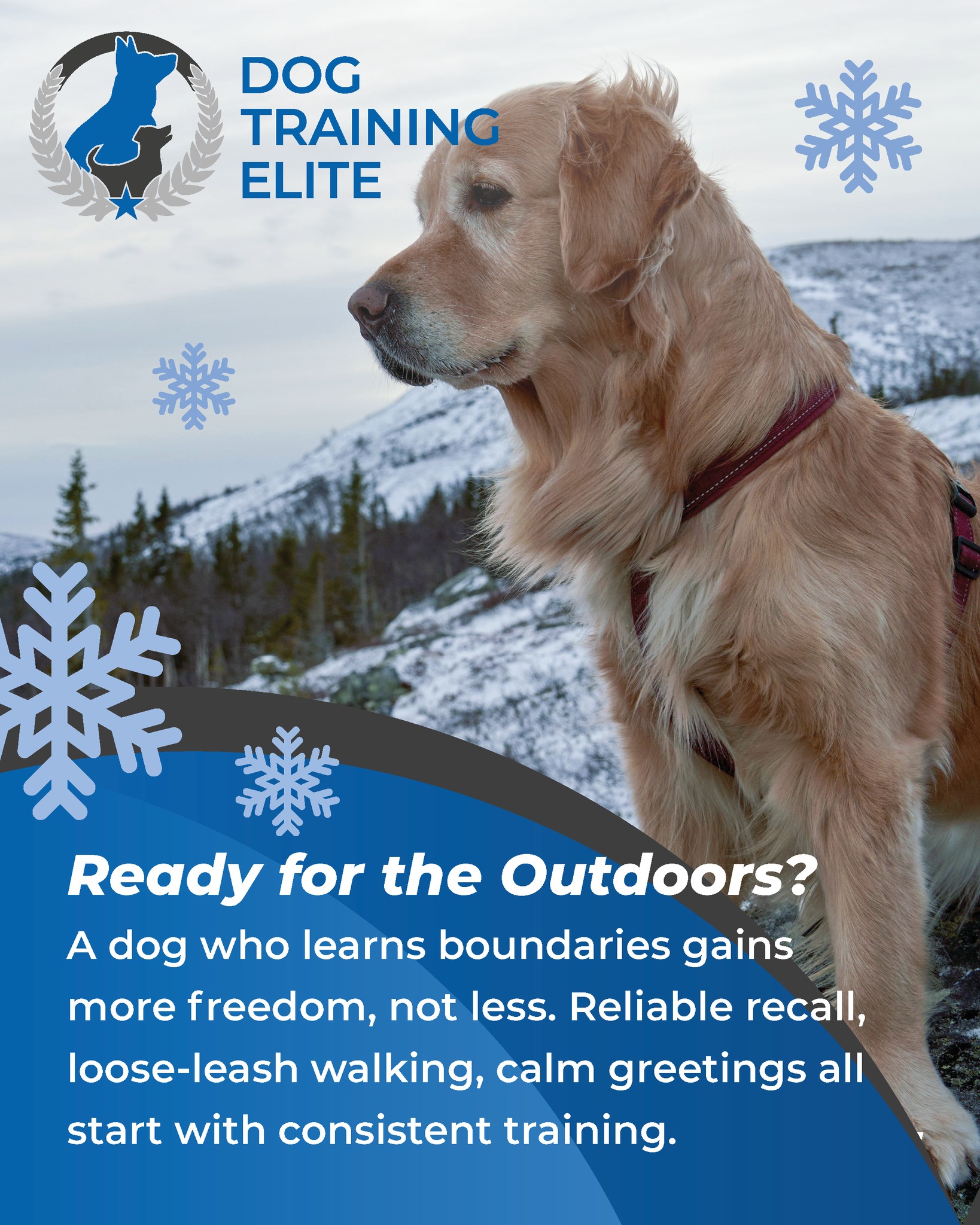 Training that makes every walk easier and every moment better. 🐶✨
📞 Call 262-515-9383 or visit dogtrainingelite.com/kenosha for your FREE evaluation.