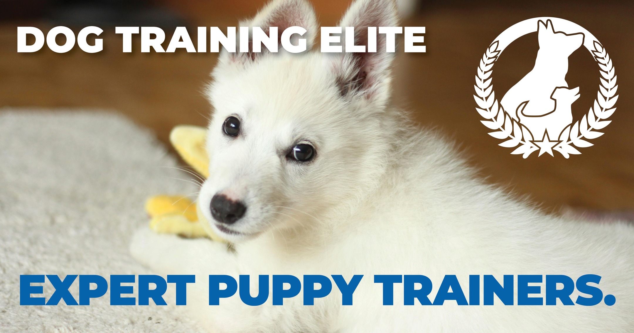 🐶 Got a new pup? Start them off on the right paw with Dog Training Elite's expert puppy trainers! 🐾
We help build confidence, good manners, and a strong foundation for a lifetime of obedience and love. 💛

📞 Call 262-515-9383 or visit dogtrainingelite.com/kenosha to fetch your FREE evaluation today! 🐕 


