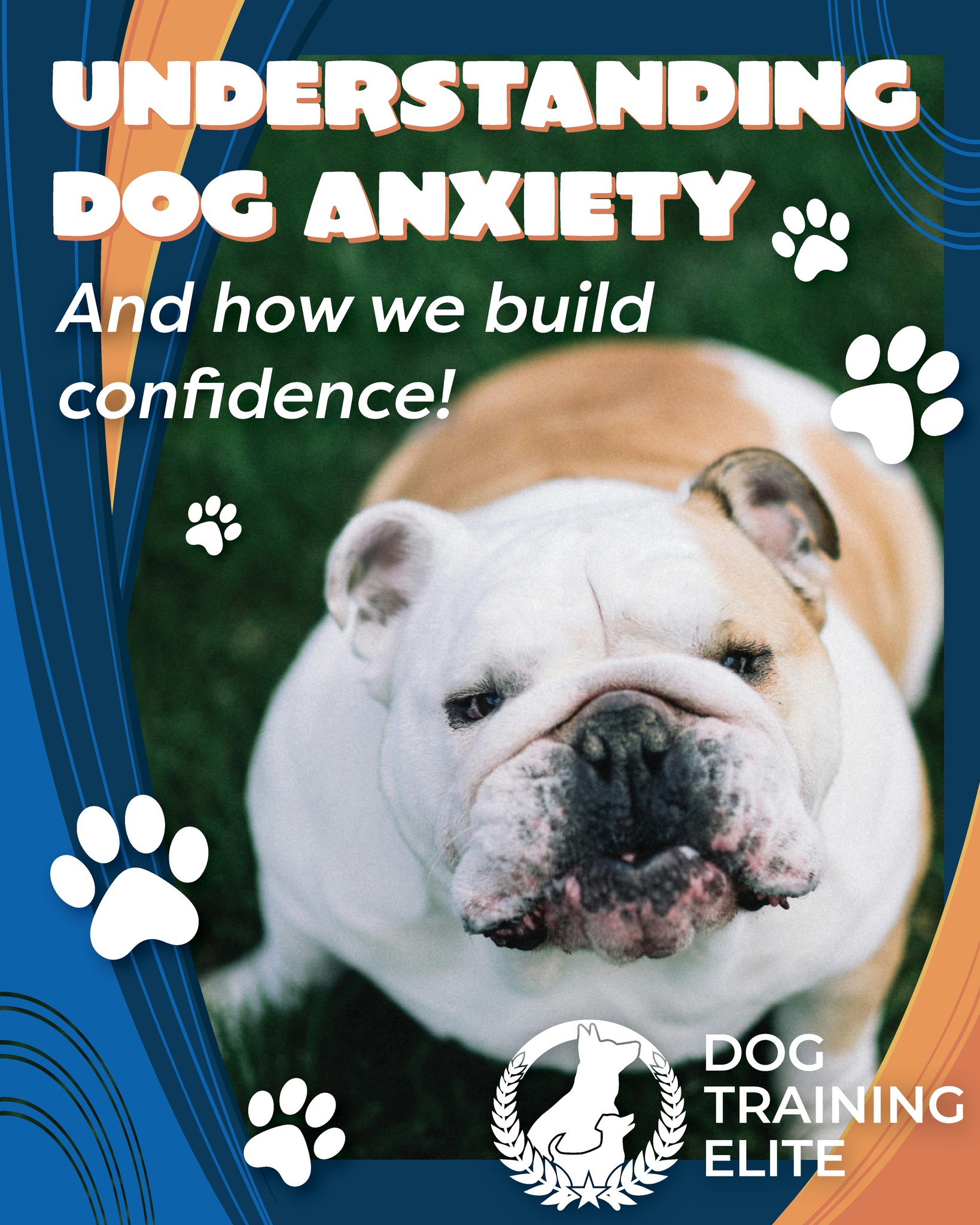 Sit. Stay. Train! 🐶 Discover a smarter, calmer, happier pup.
📞 Call 262-515-9383 or visit dogtrainingelite.com/kenosha to fetch your FREE evaluation today!