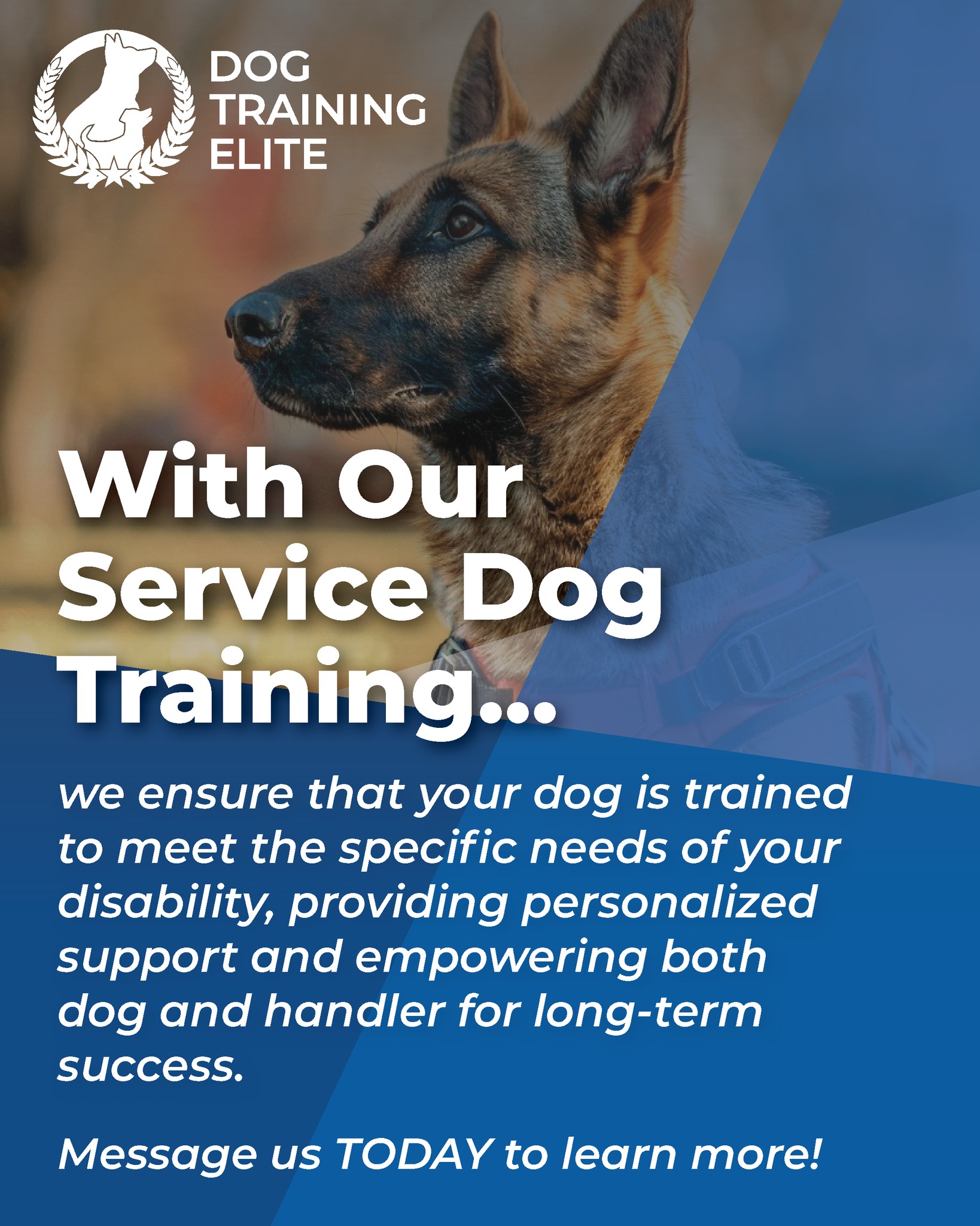 Good dogs start here. Great dogs start today. 🐾

📞 Call 262-515-9383 or visit dogtrainingelite.com/kenosha to fetch your FREE evaluation!