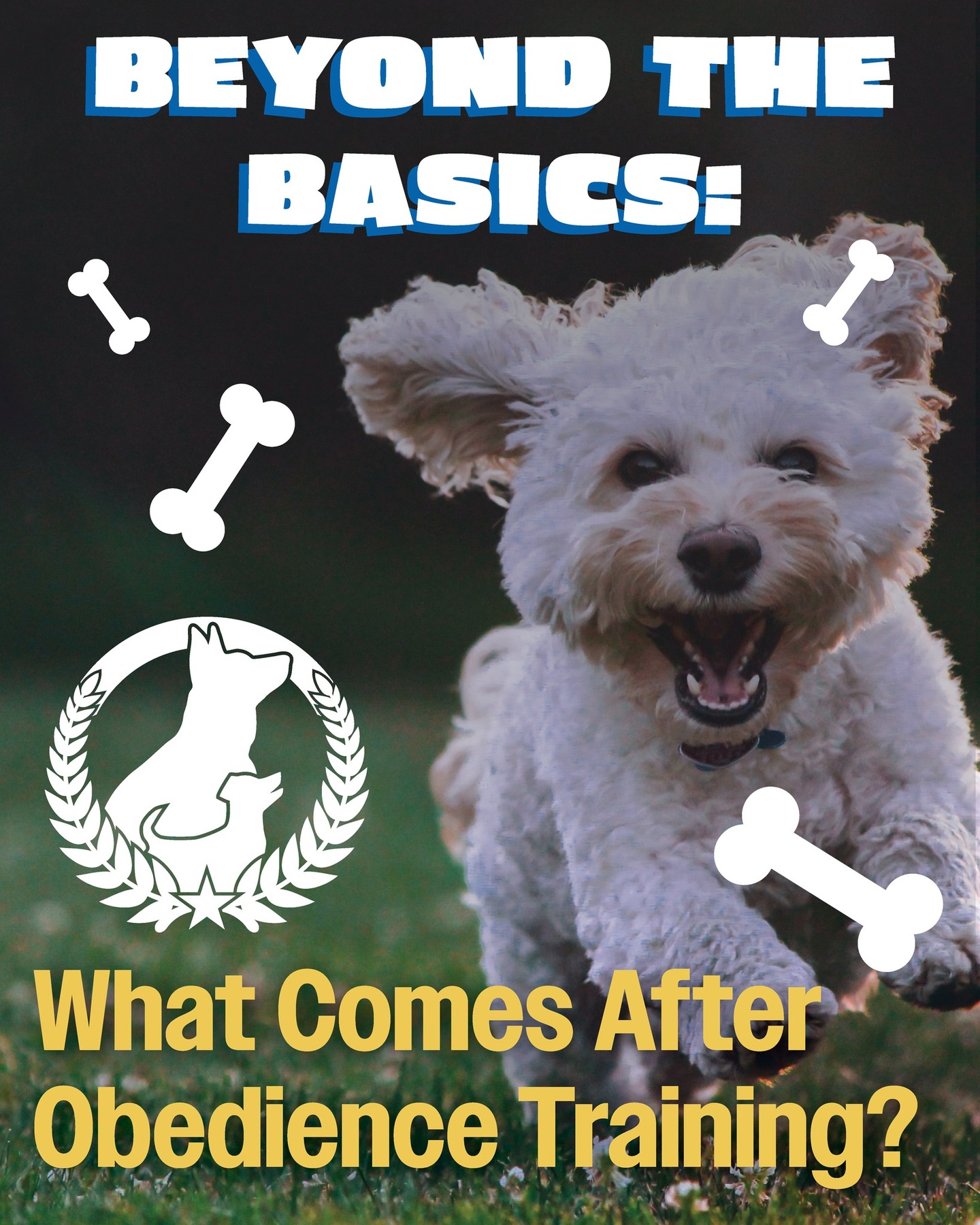 🐾 Ready for a better-behaved best friend? At Dog Training Elite, we turn chaos into calm—one paw at a time! From basic obedience to advanced training, we’ve got tails wagging all over Kenosha. 🐶✨

📞 Call 262-515-9383 or visit dogtrainingelite.com/kenosha to fetch your FREE evaluation today! 🐕💙 


