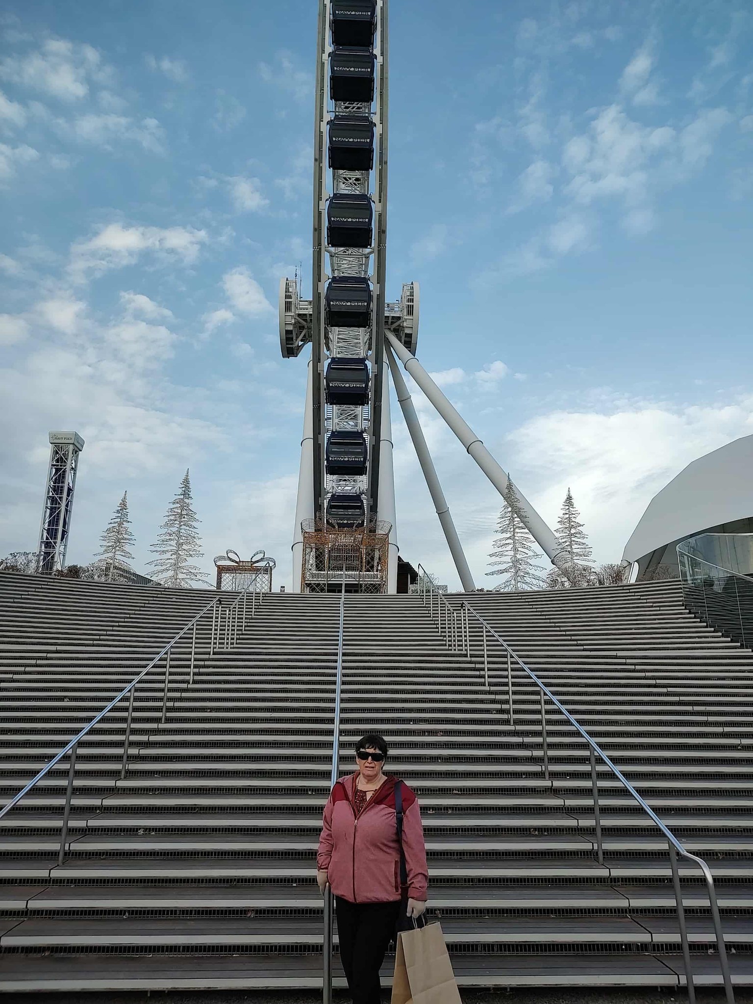 Closest I could get Lara to the Chicago Wheel on Navy Pier.