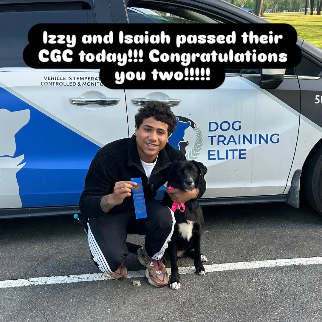 Izzy and Isaiah passed their CGC today!!! Congratulations you two!!!!!