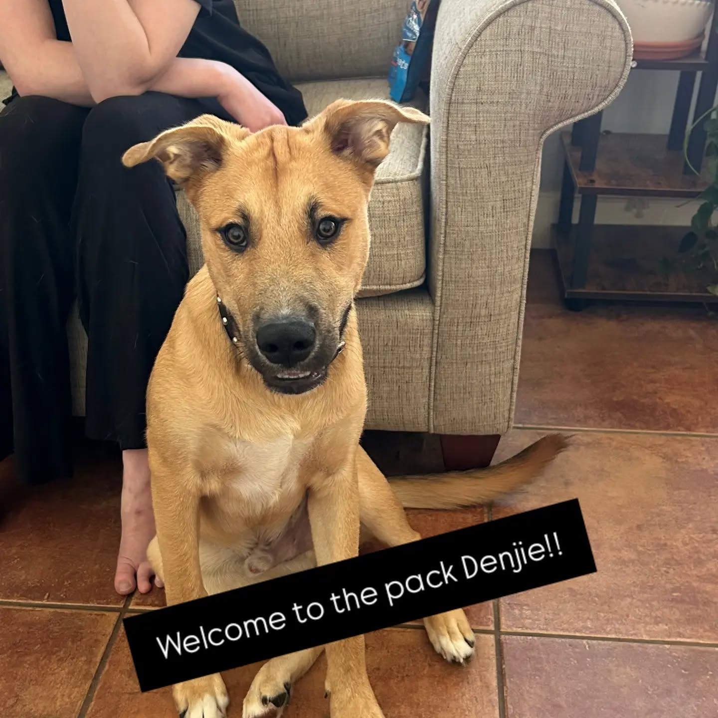 Welcome to the pack Denjie!!