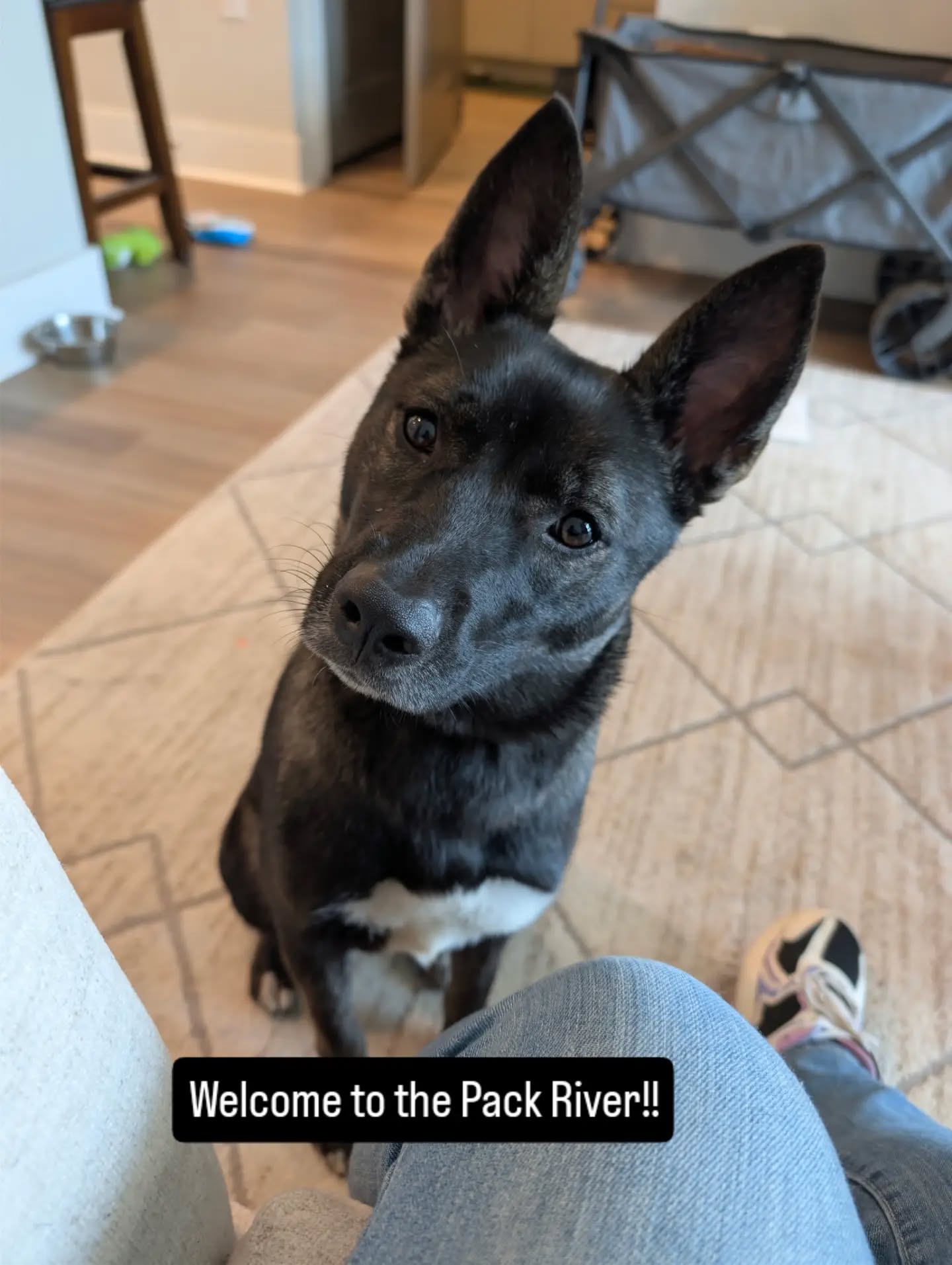 Welcome to the Pack River!!