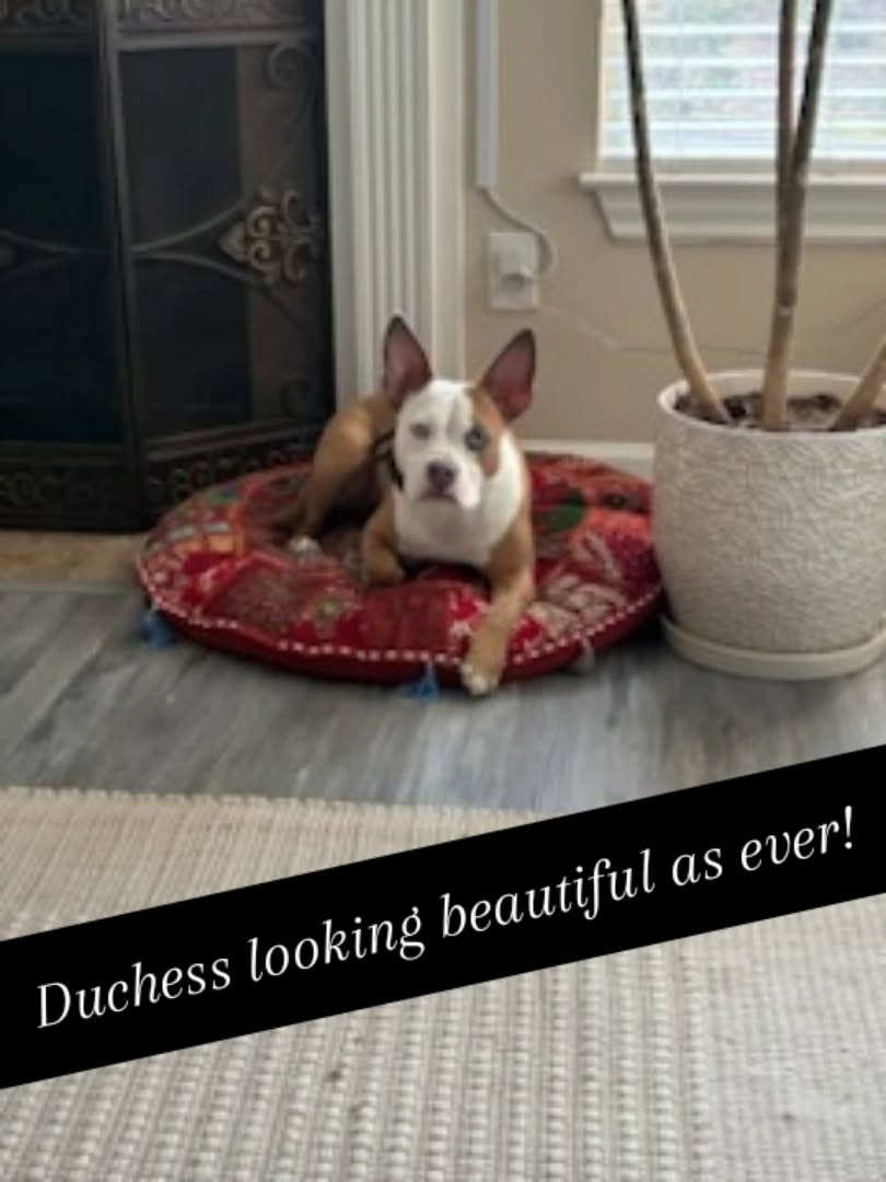 Duchess looking beautiful as ever!