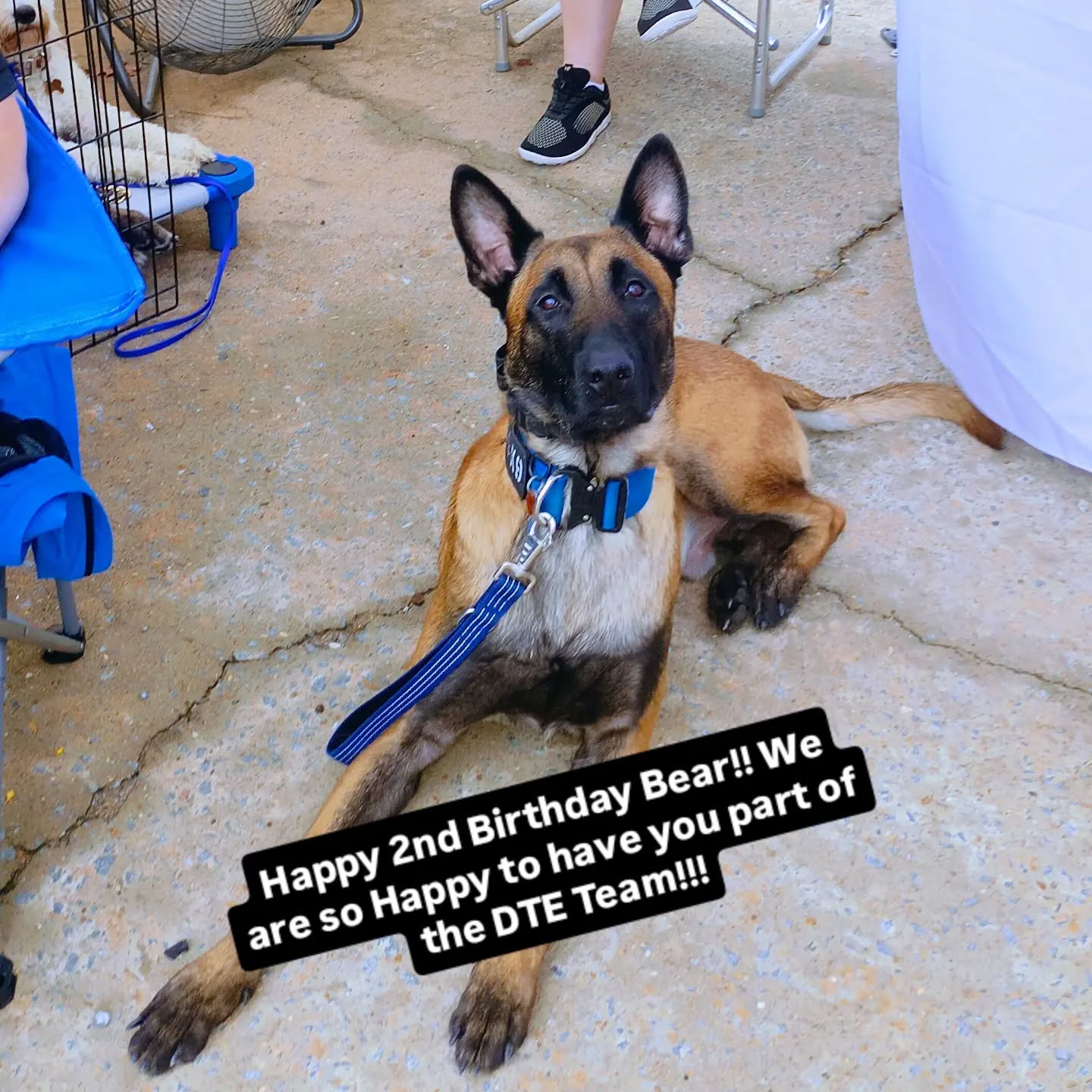 Happy Birthday Bear!!!