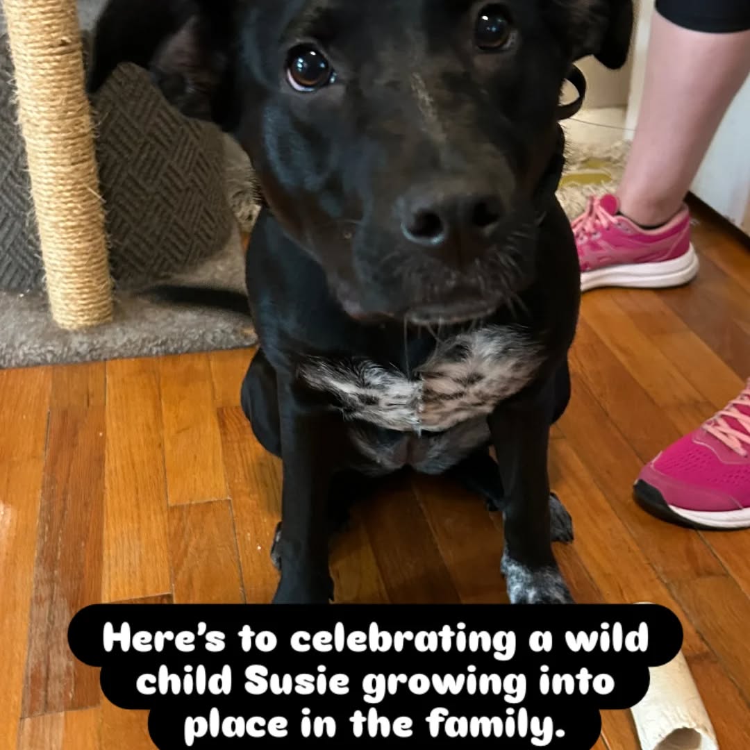 Here&rsquo;s to celebrating a wild child Susie growing into place in the family.
