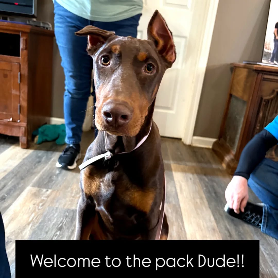 Welcome to the pack Dude!!