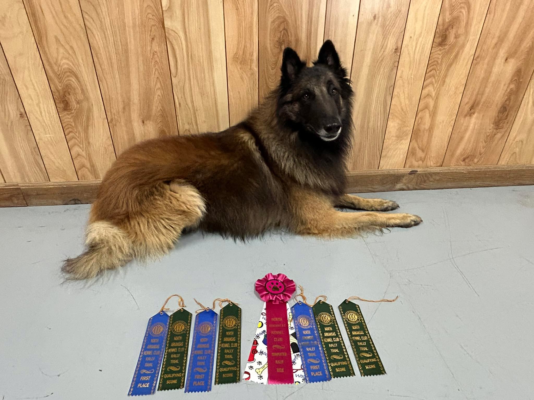 Another busy weekend for Diego and I, giving a try to Rally. Thank you North Arkansas Kennel Club for putting on an Obendience & Rally Trial. It wasn&rsquo;t too far from home and Diego and I did well. Congratulations to Diego on his Novice Rally title, three first places and four qualifying runs.