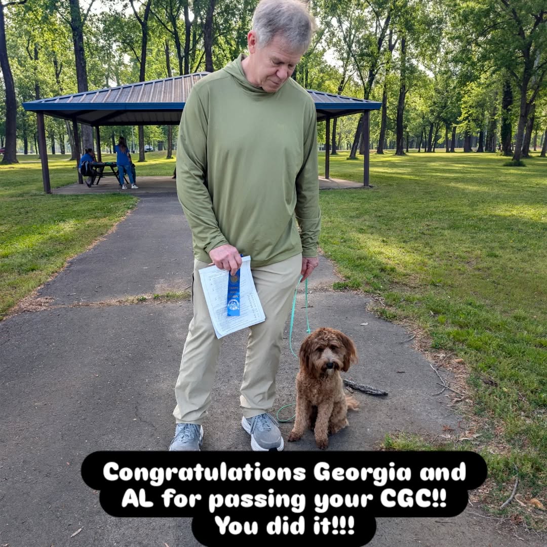 Congratulations Georgia and AL for passing your CGC!! You did it!!!