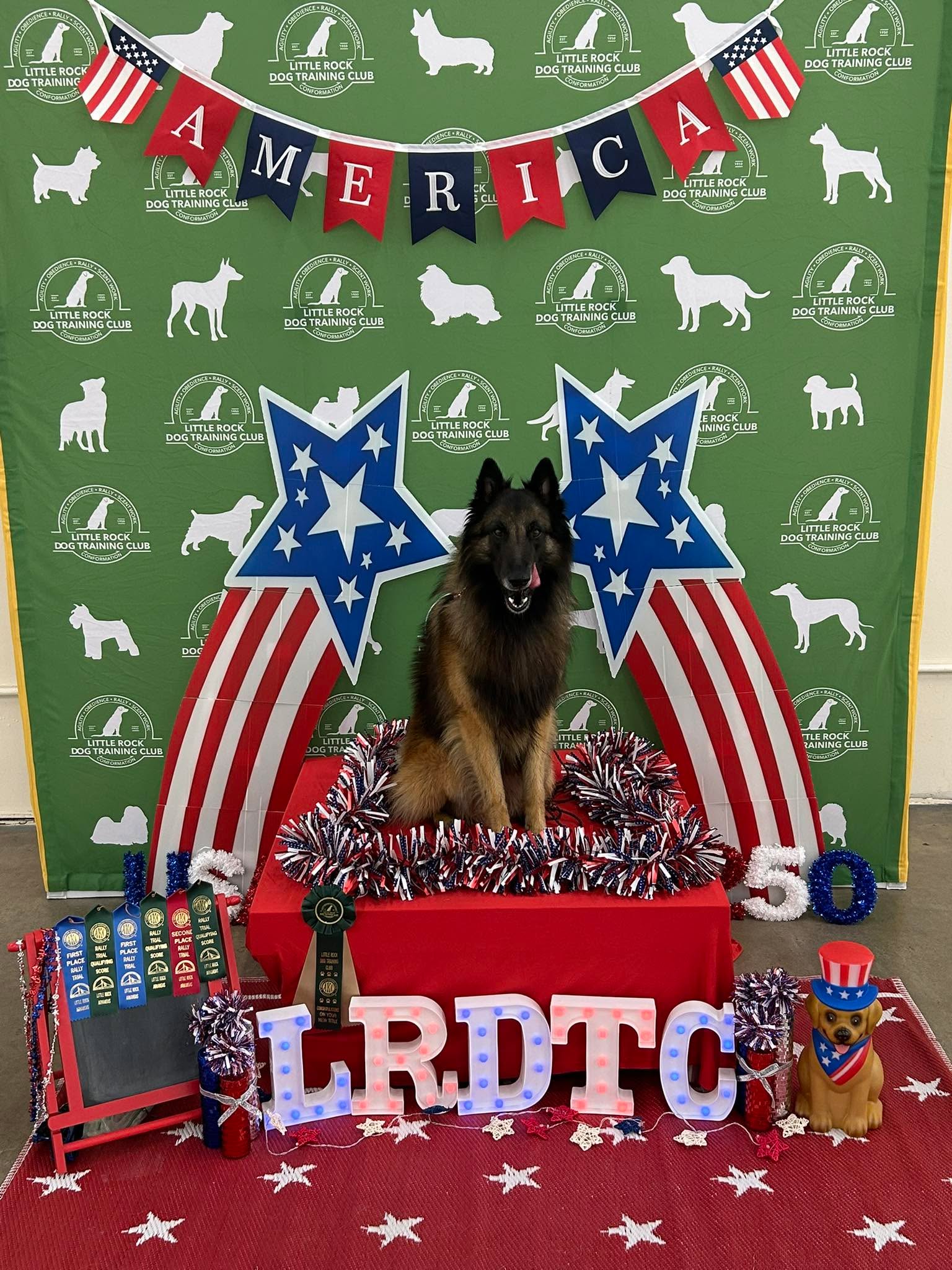 Another weekend playing with my dog and this is what we did. Saturday was his Rally advanced title with two first places and Sunday with his first leg in Excellent Rally.  Go Diego!