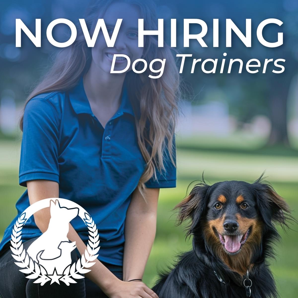 We are growing!! Looking for a self starter and detail-oriented, well rounded individual!