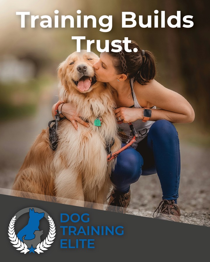 Training your dog can transform everyday walks into joyful adventures, like when a woman and her happy Golden Retriever share a loving moment on a wooded path. At Dog Training Elite Louisville, we believe that training builds trust between you and your pup. Whether you're in Louisville, Prospect, or Indian Hills, our team offers exceptional dog training near you. From service dog training in Louisville KY to obedience training, our innovative methods cater specifically to your needs and those of your dog. Explore how our personalized programs can bring you and your beloved pup closer today. Visit us online to take the first step! https://dogtrainingelite.com/louisville