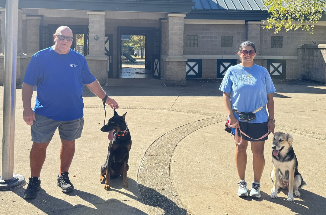 Meet Cezar, my 2 year old Doberman, and that's me on the left. 🐕

Cezar has a special job around here. He's trained to stay calm and never escalate reactivity, which makes him the perfect partner for helping reactive dogs gain confidence. We recently worked with Junnie, a pup who struggled around other dogs, and after just one controlled session with Cezar, she was noticeably more comfortable around unfamiliar pups.

That is what personalized dog training Louisville KY families can count on looks like. Real dogs, real practice, real progress. We use setups like this in our private and in home dog training programs, and dogs can keep building on that foundation in our group classes too.

&bull; Obedience training for dogs of all ages
&bull; Reactivity and behavior help
&bull; Service dog training tailored to your needs
&bull; Off-leash and advanced skills

If reactivity is keeping you and your dog from enjoying walks around Louisville, Prospect, or Indian Hills, we can help. Every program starts with a free assessment, so reach out and schedule yours today: https://dogtrainingelite.com/louisville