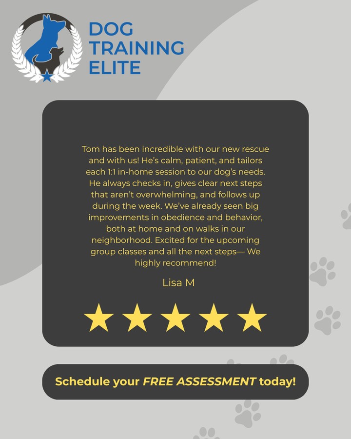Real results matter, and our clients say they see a clear change in their dog&rsquo;s behavior and obedience after training with Dog Training Elite Louisville. If you&rsquo;re searching for dog training Louisville ky or dog training near me, we work with families across Louisville, Prospect, and Indian Hills. We offer in home dog training that focuses on real-life situations like leash walking, visitors at the door, and staying calm around distractions. We also provide Service dog training Louisville KY for dogs that need to learn reliable, task-based skills, along with Obedience training for dogs that builds better listening every day. If you&rsquo;ve been looking for a dog trainer near me and want a plan that fits your dog and your home, start with a free in-home assessment to see what will help most.

https://dogtrainingelite.com/louisville