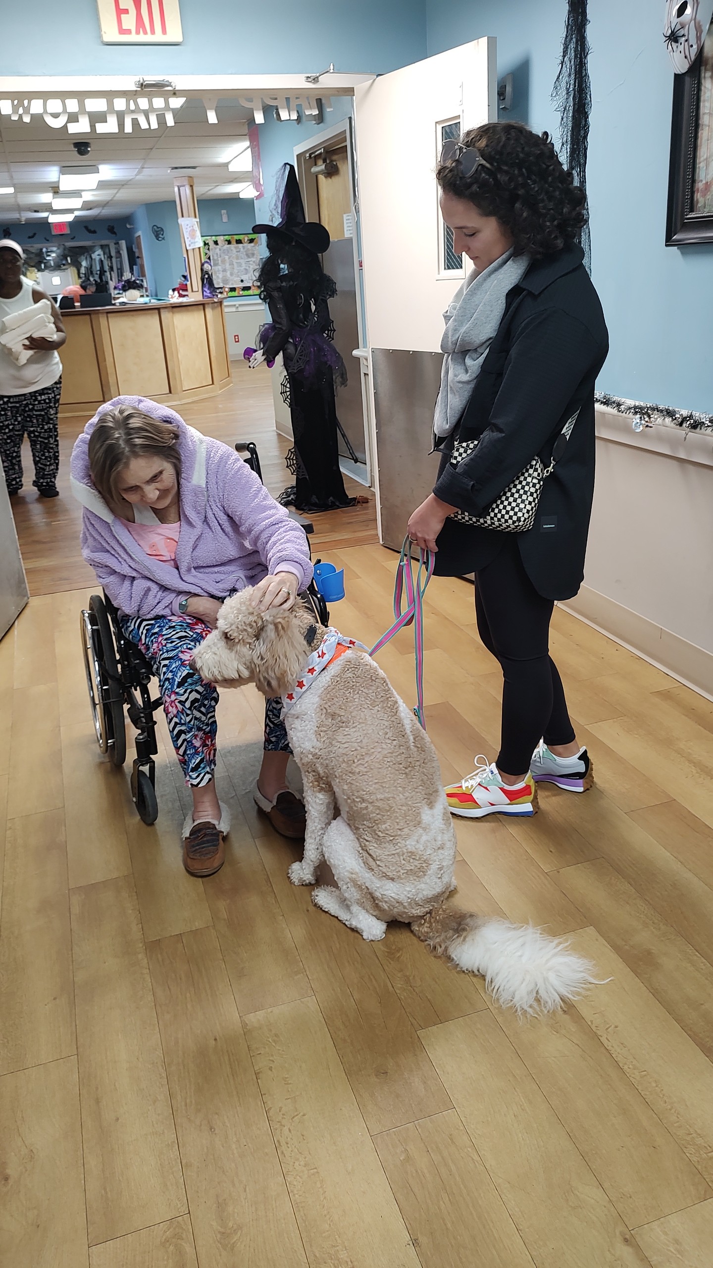 Want to see a pup bring smiles to everyone? At Dog Training Elite Louisville, we specialize in preparing therapy dogs who can make a real difference. Whether you need service dog training in Louisville KY or obedience training for dogs in your neighborhood, we've got you covered. Our experienced trainers are dedicated to providing top-notch care, ensuring your dog learns important skills right in your own home. For those searching dog training near me or the best service dog training, we're here to help! Visit us today and discover how we can make tails wag in Louisville, Prospect, and Indian Hills. Explore more about our services on our website. https://dogtrainingelite.com/louisville