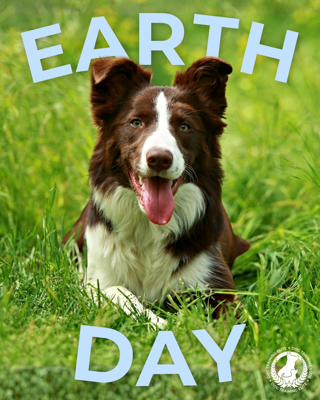 Happy Earth Day from Dog Training Elite Lowcountry!

It's the perfect day to get outside and explore new places with your dog. 🌎🐕

