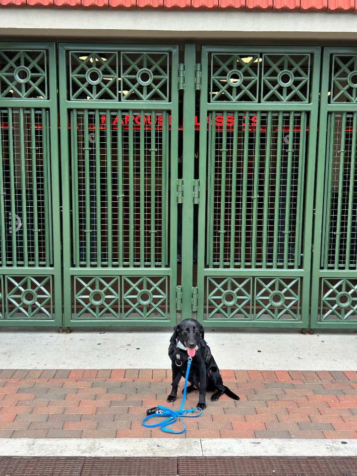 Can you guess where our adventurous Tink is this time? Take your best shot at the location and guess correctly to enter for a chance to win a prize in June's exciting drawing! Share your guesses and let&rsquo;s see who can pinpoint Tink&rsquo;s whereabouts accurately. Join in the fun and don't miss out on this opportunity to showcase your detective skills!