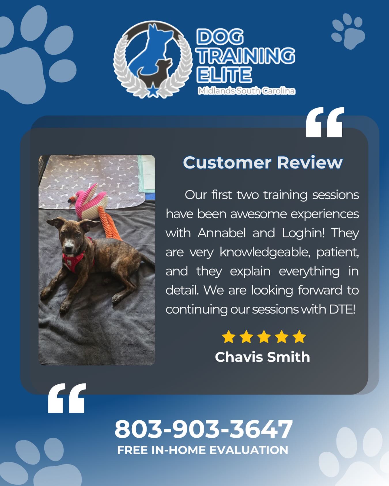 A strong start can change everything 🙌

Our first two sessions have been such an awesome experience, and we&rsquo;re already so excited for everything ahead. The patience, knowledge, and guidance have made this journey feel encouraging, rewarding, and so worth it.

Want to see what&rsquo;s possible for your dog?

Call Dog Training Elite Midlands SC at 803-903-3647 to schedule your FREE ASSESSMENT.

