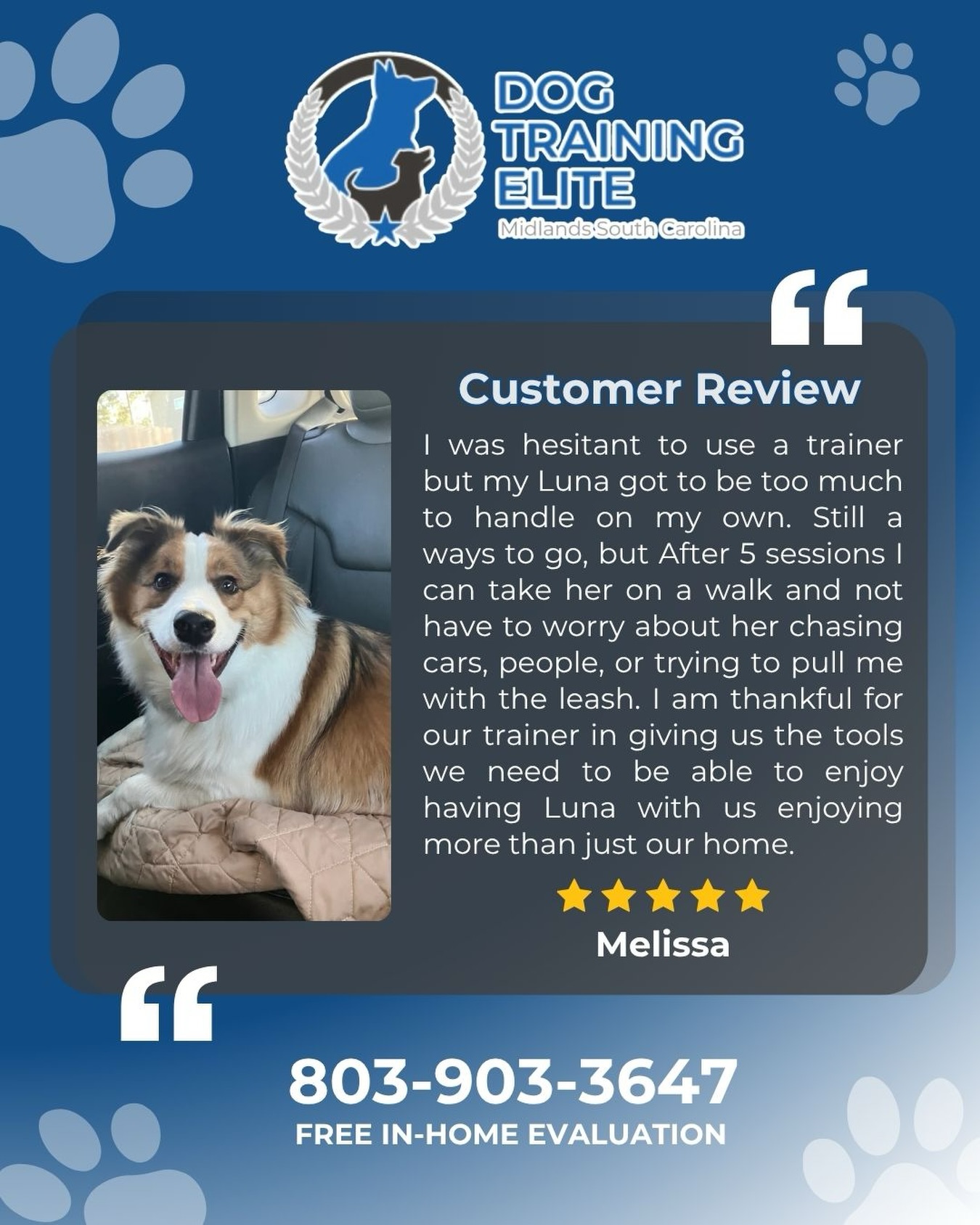 This is more than just better walk. It's more freedom, more peace, and more confidence for the whole family. 🐾💛

Luna&rsquo;s family went from feeling overwhelmed to finally being able to enjoy having her out with them without all the stress.

She&rsquo;s still learning, but the progress she&rsquo;s made already is such a huge win, and moments like this are exactly why training matters. 🐶✨

If your dog is making daily life harder than it should be, we&rsquo;re here to help.
Call or message Dog Training Elite Midlands SC today to book your FREE assessment!
📞 803-903-3647

