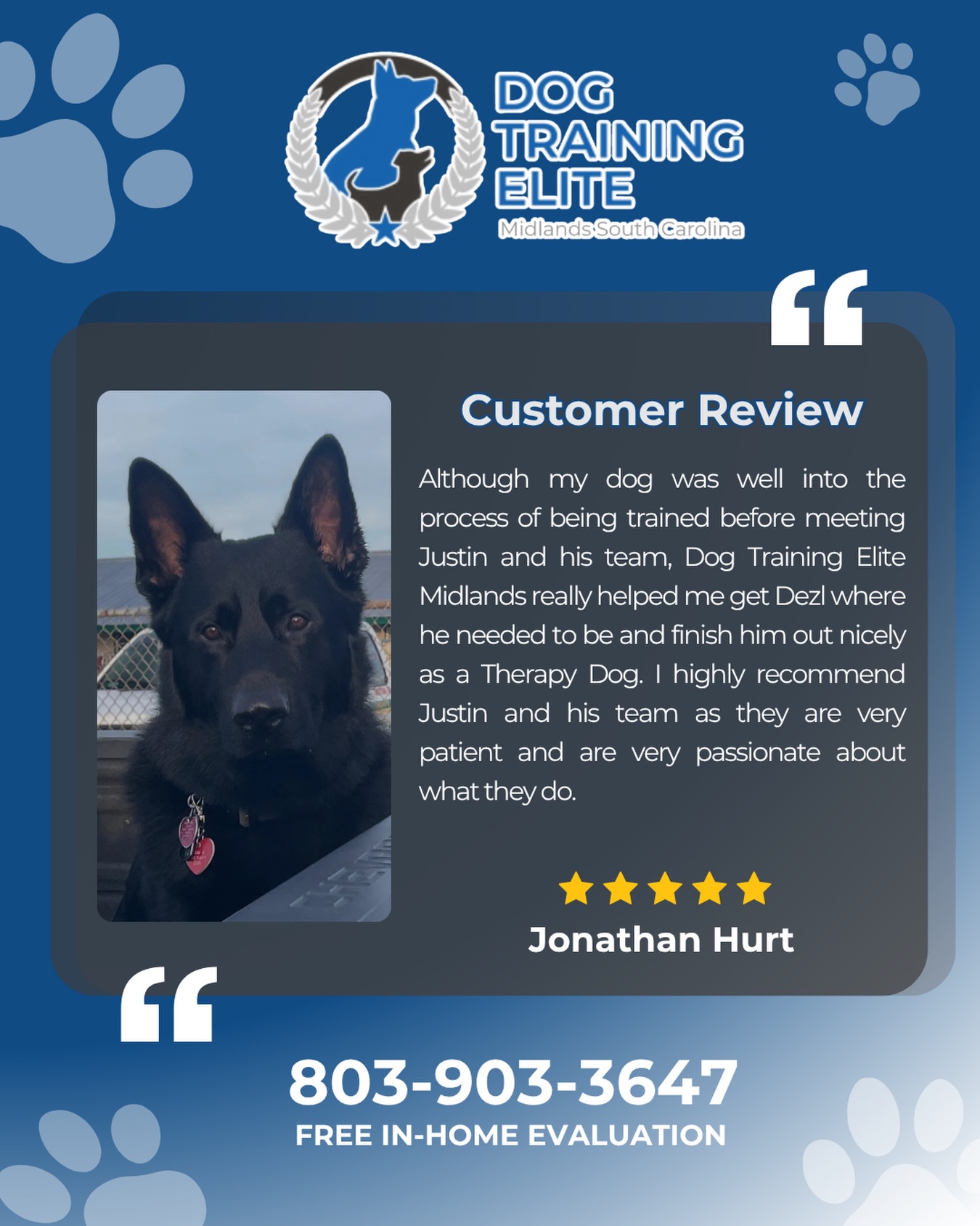 Seeing Dezl complete his training and become a Therapy Dog is something worth celebrating! 🐾

Thank you for trusting our team to be part of the final steps of his journey. We're so happy for you and Dezl, and we can't wait to see all the lives he'll touch!

