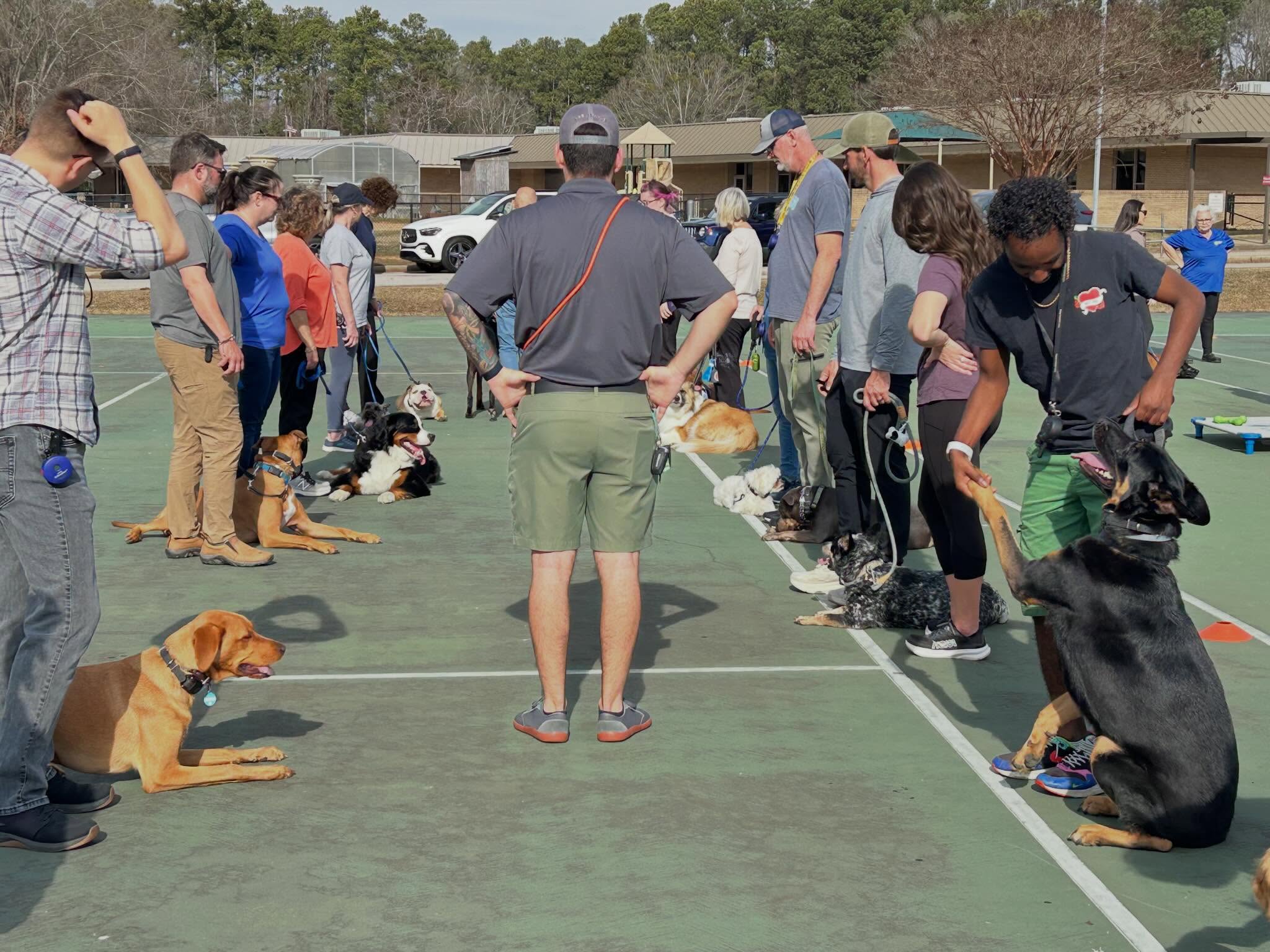 Focus looks good on them 🐾

Surrounded by other dogs, new smells, and plenty of excitement, these pups are learning how to stay calm, confident, and connected with their handlers. Real progress happens when dogs learn to listen even when the world around them is full of distractions.

Ready to help your dog build better manners and confidence?
📞 Call us at 803-903-3647 for your FREE ASSESSMENT today!


