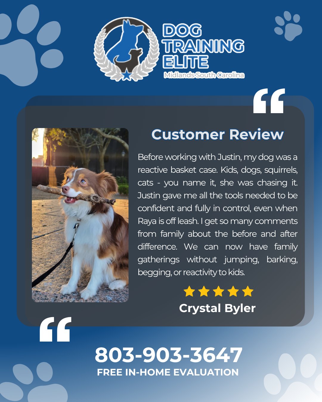 There&rsquo;s nothing better than hearing how training has changed a family&rsquo;s everyday life. 💙🐶

Thank you so much for trusting Justin and the Dog Training Elite Midlands team with Raya. Seeing her go from reacting to everything around her to confidently enjoying family gatherings, off-leash freedom, and life without the stress is exactly why we do what we do.

We're so grateful for your kind words and for allowing us to be part of Raya's journey. Watching dogs and their owners grow together is the best reward we could ask for.

If you're struggling with reactivity, pulling, jumping, or just want a better relationship with your dog, we're here to help.

📞 Call or text us today at 803-903-3647 to schedule your free in-home evaluation!

