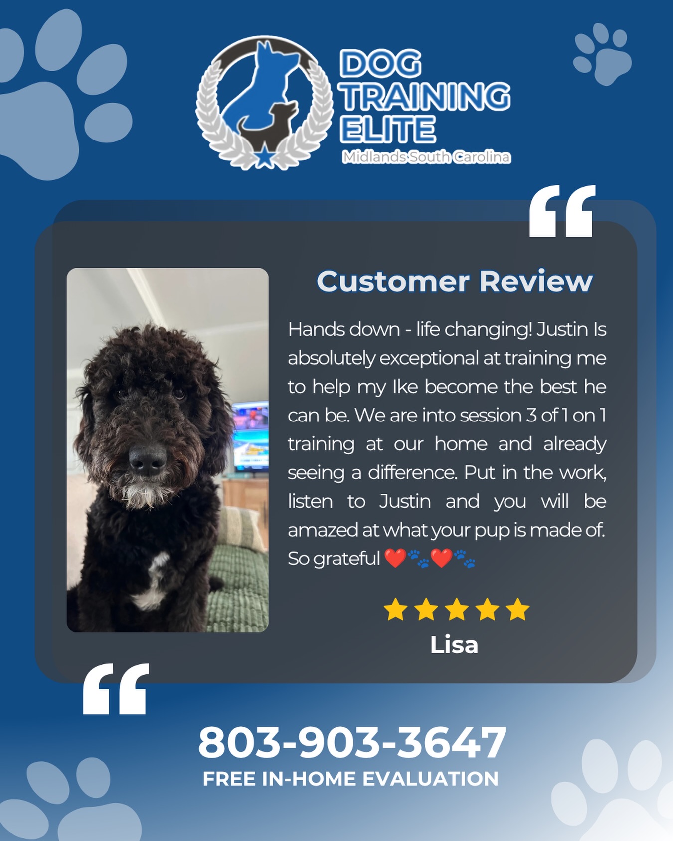 Thank you so much for the kind words and for trusting us with Ike! 🐾 Seeing progress this early is always exciting, and we&rsquo;re so happy to be part of the journey. Keep up the great work with him, there&rsquo;s so much more to come!

Ready to see what&rsquo;s possible for your dog? 🐶 Give us a call at 803-903-3647 to get started!

