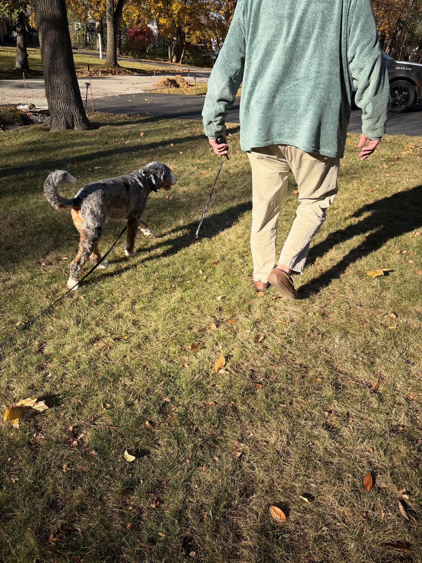 Koda used to run off if he happened to get outside without his leash on. After 5 lessons of working on his obedience skills, he can walk around his yard off leash (here he’s dragging his leash) without taking off! 