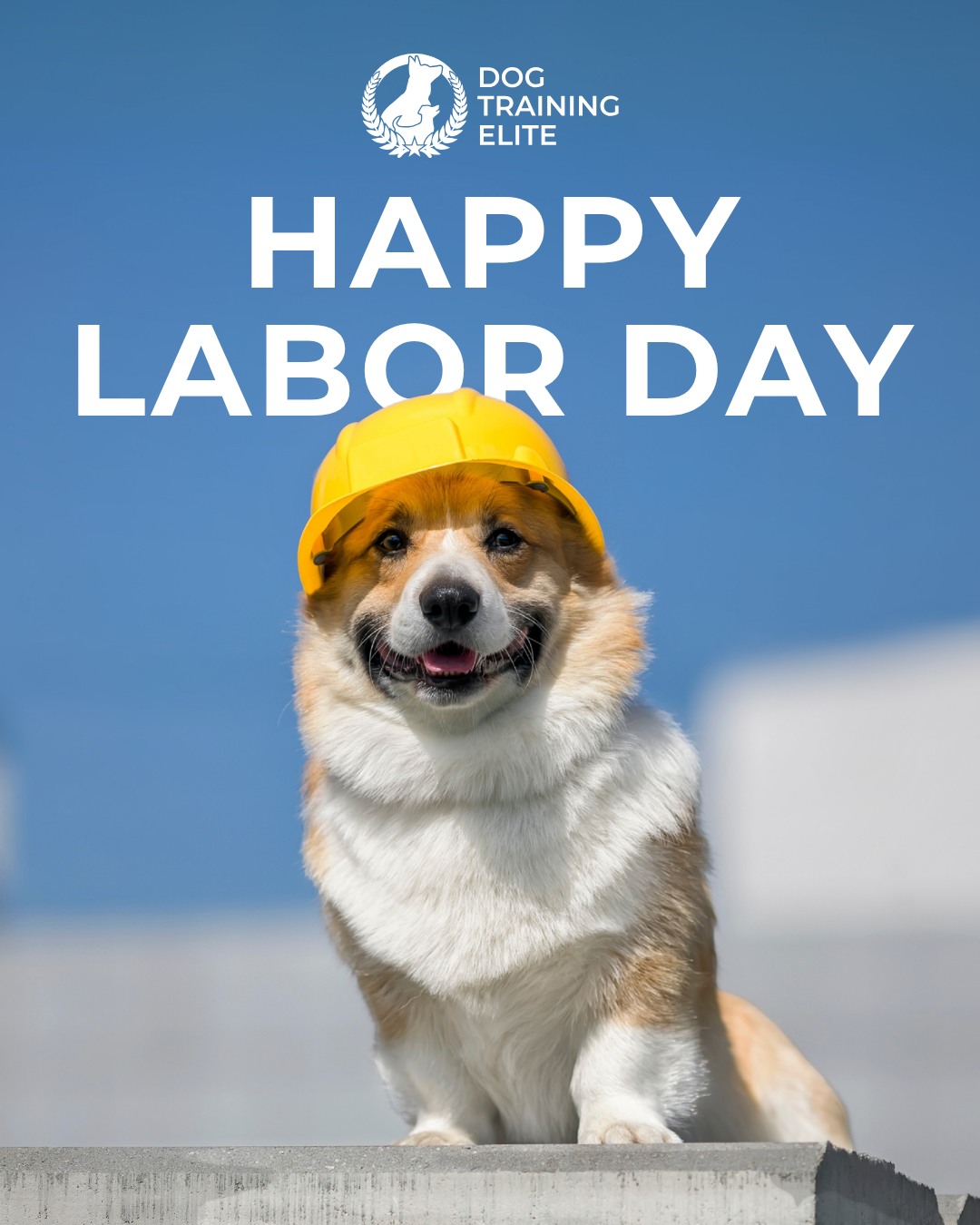 Happy Labor Day from all of us at Dog Training Elite Milwaukee! 💙🐶

We hope you enjoy a well-deserved day of rest with family, friends, and your four-legged companions!

