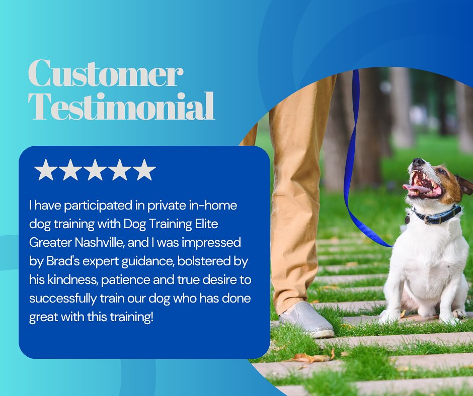 Another happy pup and proud family!🐾🖤 

We’ve seen such amazing progress with this team- proof that the right training truely changes lives! 

📞Ready to see results like this? Schedule your free consultation today and let’s get started. 
Call us at (844) 744-3647