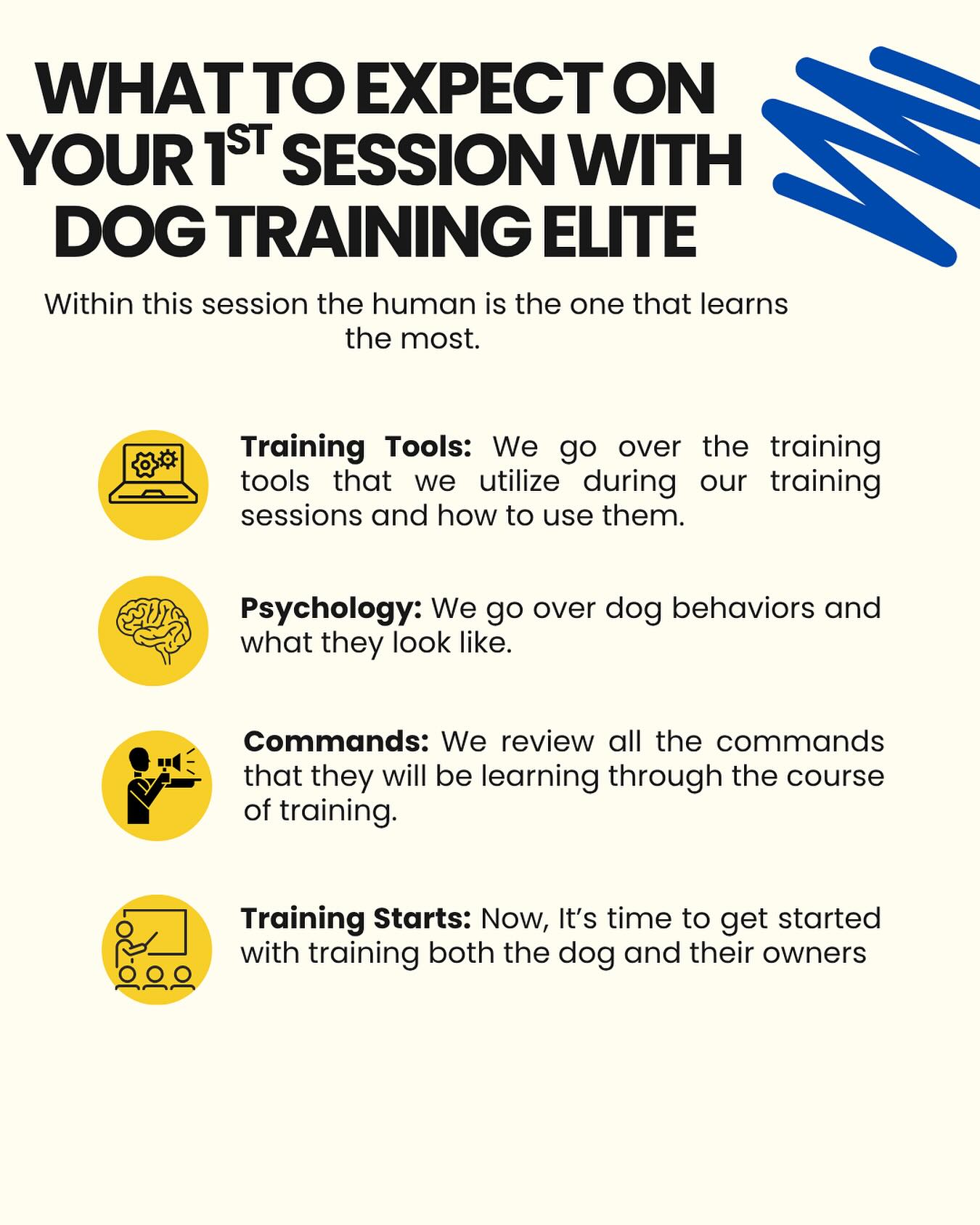 Want to know what to expect from a training session. Here are some little things that we go over in order for everyone to start off on the right paw. 