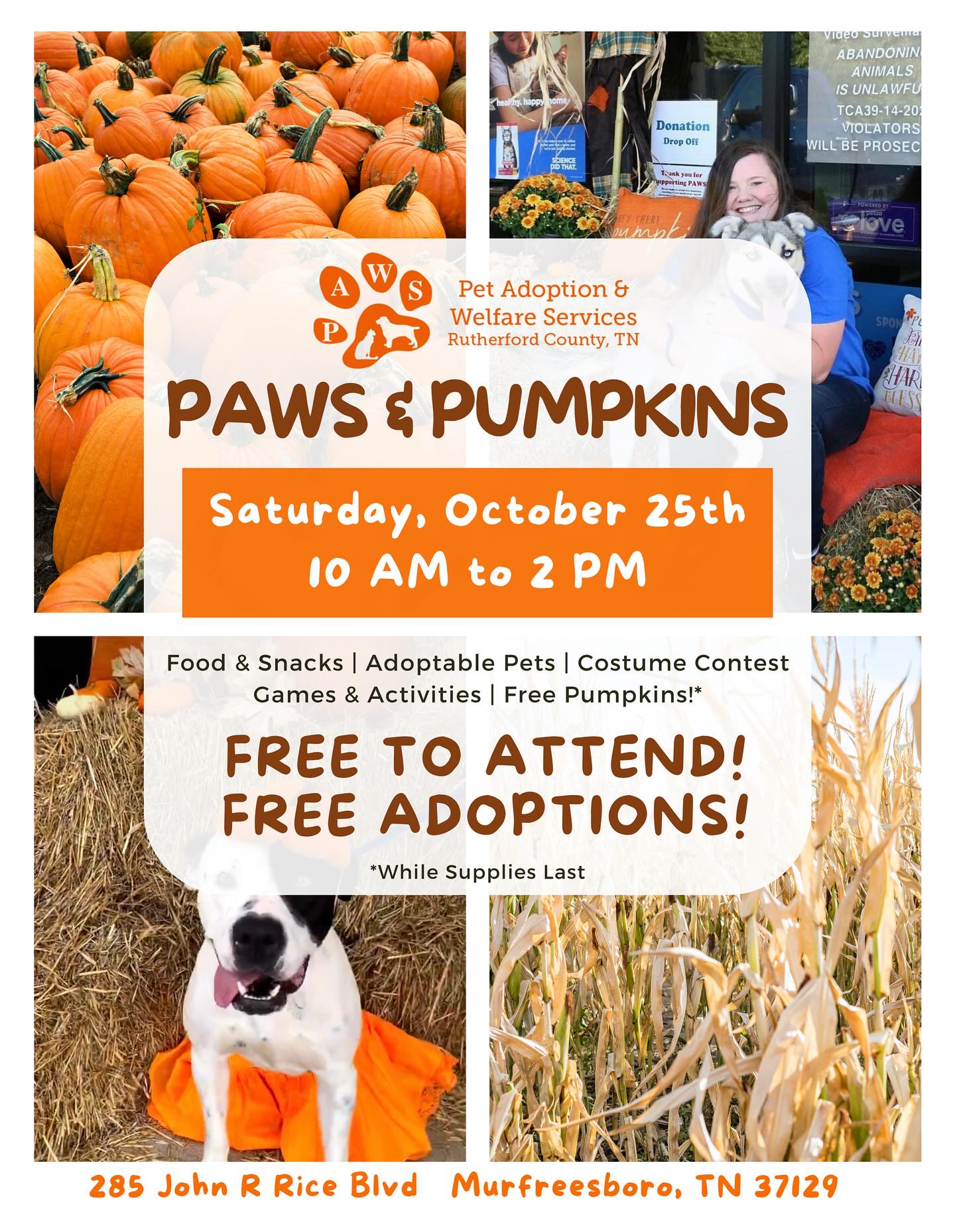 Happy Friday! We are so excited to announce that we are attending Paws and Pumpkins! This event takes place on October 25th. Please feel free to join us at this amazing event. 