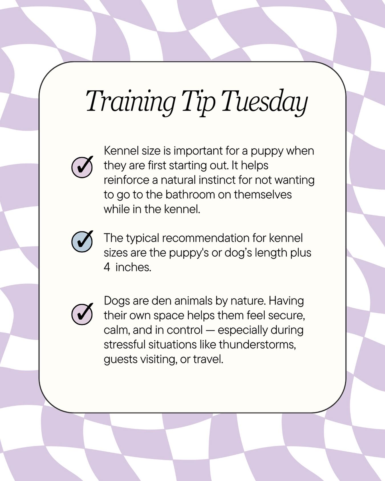 Training Tip Tuesday! A kennel gives your pup a safe space to relax, learn independence, and build confidence. Remember: a crate should always be a positive place filled with calm energy, praise, and maybe a few treats. 🐶✨