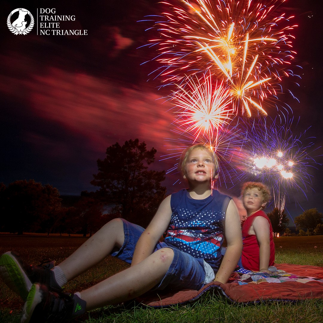 We know fireworks can be fun, but they also frighten your best friend. Here are a few tips to help your dog make it through the Fourth as well as possible.

1.	Prepare a safe and secure space for your dog to retreat to during fireworks. This could be a quiet room in your house, preferably with no windows or with thick curtains to block out the light and muffle the sound. Make the area cozy with familiar bedding, toys, and treats. Consider using white noise or calming music to help drown out the sound of fireworks.
2.	Engage your dog in activities that will divert their attention from the fireworks. Play games, offer puzzle toys or treat-dispensing toys that keep them mentally stimulated.
3.	your dog experiences severe anxiety during fireworks, it may be beneficial to consult with a veterinarian. Vets can provide advice tailored to your dog's specific needs. In some cases, your vet may recommend anxiety-reducing medications or natural supplements to help your dog stay calm. Additionally, behavioral training or desensitization techniques can be explored to gradually expose your dog to the sound of fireworks in a controlled and positive manner.

Remember, it's important to remain calm and reassure your dog during fireworks. Your own behavior and demeanor can influence how your dog reacts.