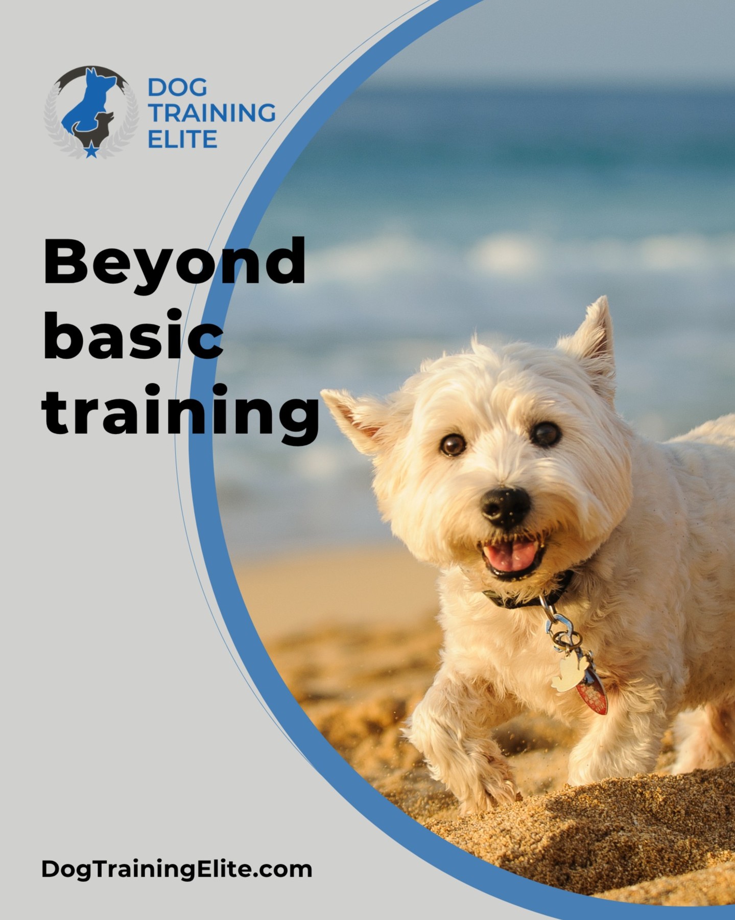 If your dog has mastered sit, down, and come — what’s next?

Dog Training Elite Raleigh offers advanced obedience training that goes far beyond the basics. Whether you're dreaming of off-leash freedom at the park or seamless heeling during a bike ride, our programs are designed to build reliable, real-world skills.

We help dogs learn to:

Stay focused off-leash, even around distractions.
Heel comfortably during jogs and bike rides.
Follow advanced recall and directional commands.
Respond to voice or hand signals from a distance
Perform confidently in public settings.

This is more than obedience — it’s partnership, trust, and freedom.

🐾 Take the first step toward a well-trained companion—schedule your free evaluation today and connect with your local Dog Training Elite team: https://maps.app.goo.gl/7CV7CPwnVafJmbCn6

