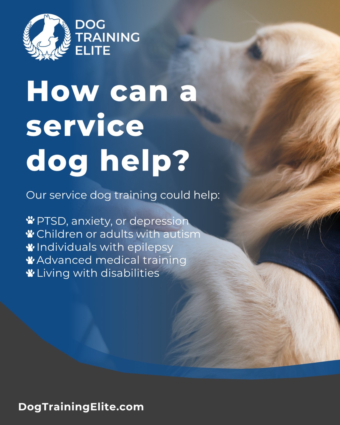 How can a service dog help?

The Americans with Disabilities Act (ADA) defines a service dog as “a dog that is individually trained to do work or perform tasks for a person with a disability”.

Disabilities include mental or physical impairments that affect an individual’s ability to perform one or more major life activities (walking, seeing, etc.).

With our service dog training in Durham, we ensure that your dog is trained to meet the specific needs of your disability, providing personalized support and empowering both dog and handler for long-term success.

See training packages: https://dogtrainingelite.com/durham/pricing

