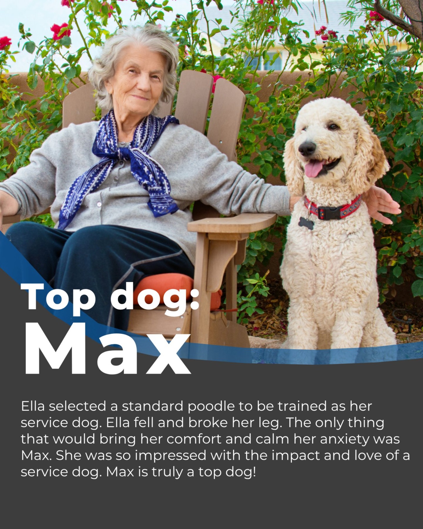 Ella selected a standard poodle to be trained as her service dog. Ella fell and broke her leg. The only thing that would bring her comfort and calm her anxiety was Max. Max helped Ella get back on her feet and kept her steady.

She was so impressed with the impact and love of a service dog. Max is truly a top dog!

