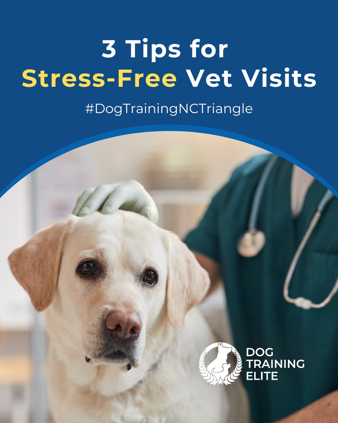 If vet visits feel stressful for your dog, you’re not alone. 💉🐾

New sounds, smells, and handling can trigger anxiety but with the right approach, you can help your dog feel safe and in control.

Here are three quick tips to get your pup prepared.
 🐾 Practice short handling sessions at home
 🐾 Reward calm behavior often
 🐾 Let your dog explore the clinic environment before the visit

Confidence comes from preparation!

🎯 From basic obedience to advanced service dog training, Dog Training Elite North Carolina Triangle helps dogs near City Market build better behavior and stronger bonds this fall. 🐾
 📍 https://maps.app.goo.gl/7CV7CPwnVafJmbCn7


