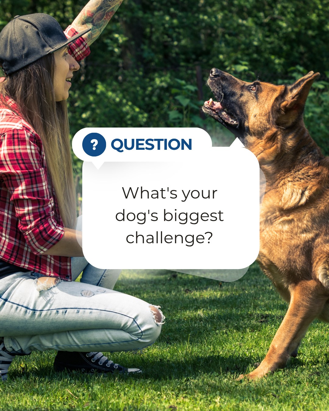 🐾 Dog owners, let's help each other out!

What's the biggest challenge you're facing with your dog right now?

Leash pulling? Barking? Recall? Jumping on guests? Separation anxiety? Something else?

Drop it in the comments below. Chances are, another dog owner is dealing with the same thing and your answer might help them feel a little less alone.

Comment below!👇 


