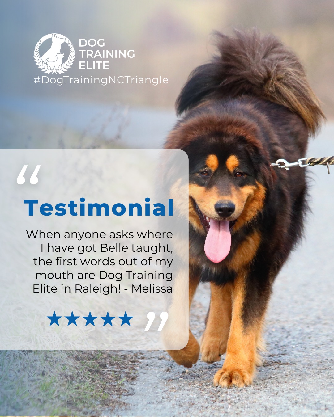&ldquo;I started my adventure a little over a year ago, and it was the best decision I have ever made. During my transition from military service to retirement, having my service dog has been the best help. Cindy, David, and Kyle have been a blessing in helping with training my Baby Belle. I am now able to go anywhere with Belle to help me stay calm. When anyone asks where I have got Belle taught, the first words out of my mouth are Dog Training Elite in Raleigh!&rdquo; - Melissa

There&rsquo;s nothing better than watching a dog, and their owner, gain confidence together. 🐾

Whether it&rsquo;s tackling leash reactivity, mastering obedience, or building trust in busy environments, we love seeing the transformation that happens through consistency and teamwork.
Every success story reminds us why we do what we do. ❤️

💬 Have a story to share about your training experience with Dog Training Elite Raleigh, Durham, or Chapel Hill? We&rsquo;d love to hear it!

 🎯 From basic obedience to advanced service dog training, Dog Training Elite North Carolina Triangle helps dogs near Raleigh build better behavior and stronger bonds this season. 🐾
 📍 https://maps.app.goo.gl/igo1KzzLjdteZCGM9


