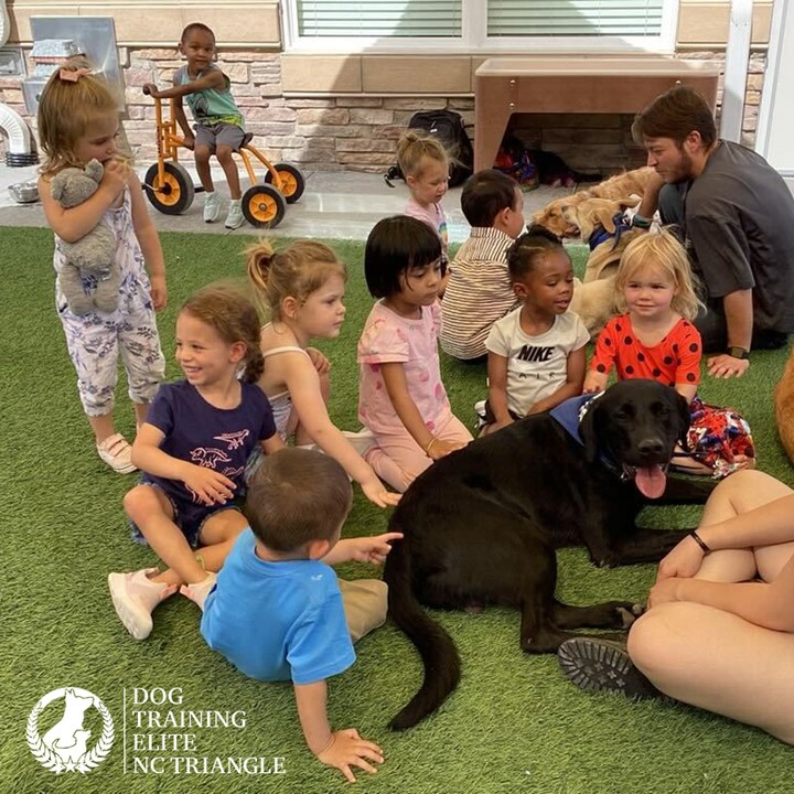 We had a great time taking our therapy dogs to spend time with a class of preschoolers!