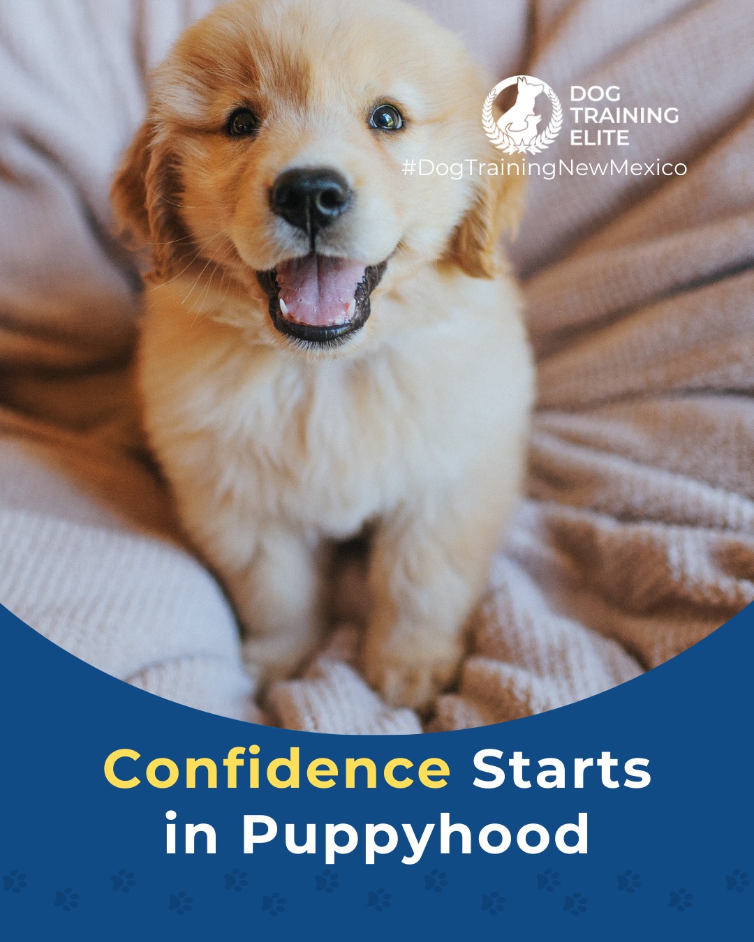 Did you know that early puppy socialization shapes how your dog sees the world for the rest of their life? Puppies who experience new sights, sounds, surfaces, and friendly interactions early on are far more likely to grow into confident, calm, well-adjusted adults.

Thoughtful socialization can help prevent issues like fear, reactivity, and anxiety later in life. That&rsquo;s why puppy training at Dog Training Elite New Mexico focuses on safe exposure, guided structure, and teaching your pup how to navigate new environments with ease.

🐶 From basic obedience to advanced service dog training, Dog Training Elite New Mexico helps dogs near Albuquerque build better behavior and stronger bonds this season. 🐾
 📍 https://maps.app.goo.gl/iipdsxXWWx3dKN5Y9




