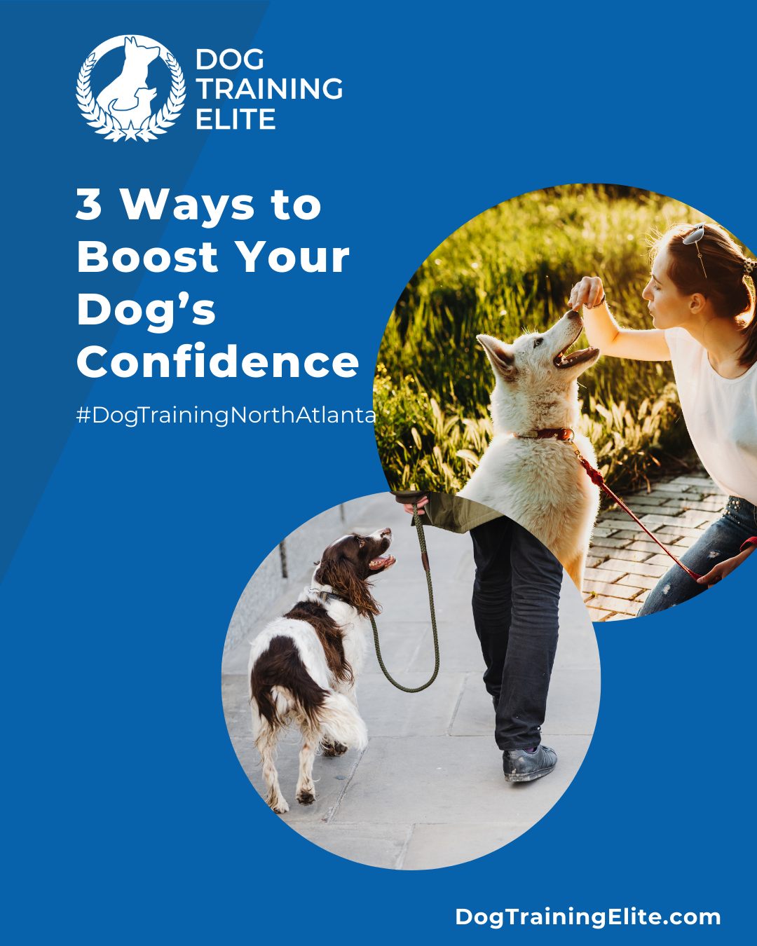 Confidence is key for any dog, especially service dogs. 

At Dog Training Elite North Atlanta, we help dogs develop skills and independence through:
🌳 New Experiences – Safely introduce your dog to new environments and people.
 🧩 Challenge Games – Puzzle toys and problem-solving tasks strengthen mental skills.
 💖 Praise & Encouragement – Reward small victories to build trust and confidence.

Our expert trainers guide every step of the way, helping dogs and handlers build strong, reliable partnerships—whether practicing at home, in public, or in structured sessions with our team.

🎯 Ready for a happier, calmer pup? 🐾 Schedule your free in-home evaluation and see why neighbors across Roswell, Marietta, and Sandy Springs count on Dog Training Elite.
 🐾 Serving Roswell, Marietta, Sandy Springs, and surrounding areas



